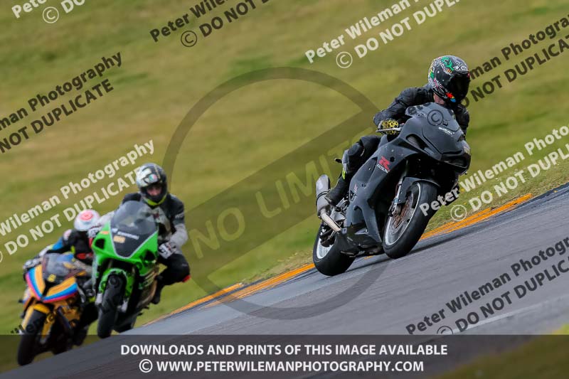 PJ Motorsport 2019;anglesey no limits trackday;anglesey photographs;anglesey trackday photographs;enduro digital images;event digital images;eventdigitalimages;no limits trackdays;peter wileman photography;racing digital images;trac mon;trackday digital images;trackday photos;ty croes